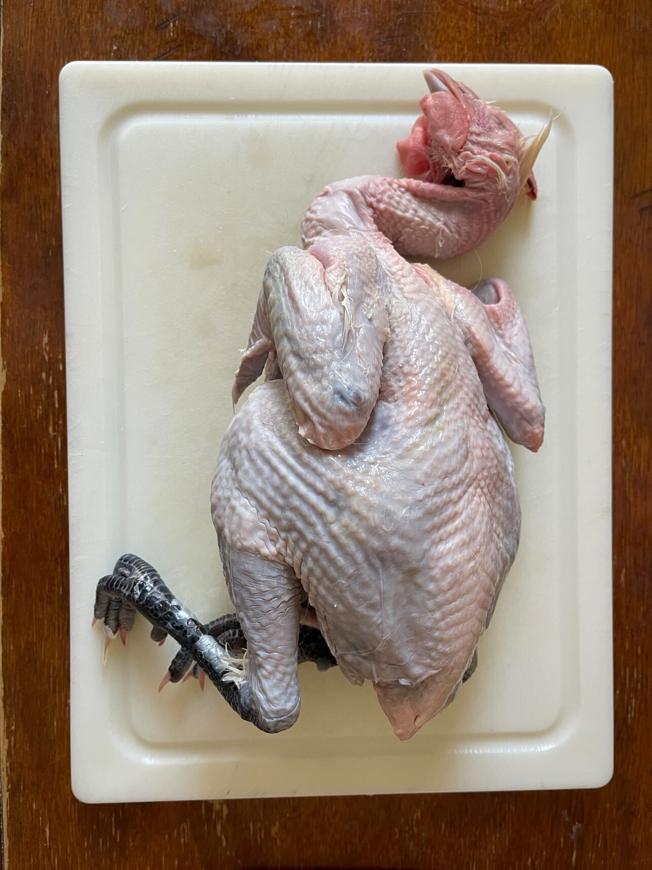 Case of 6 Poulet Bleu - FROZEN, 3.5# ave.