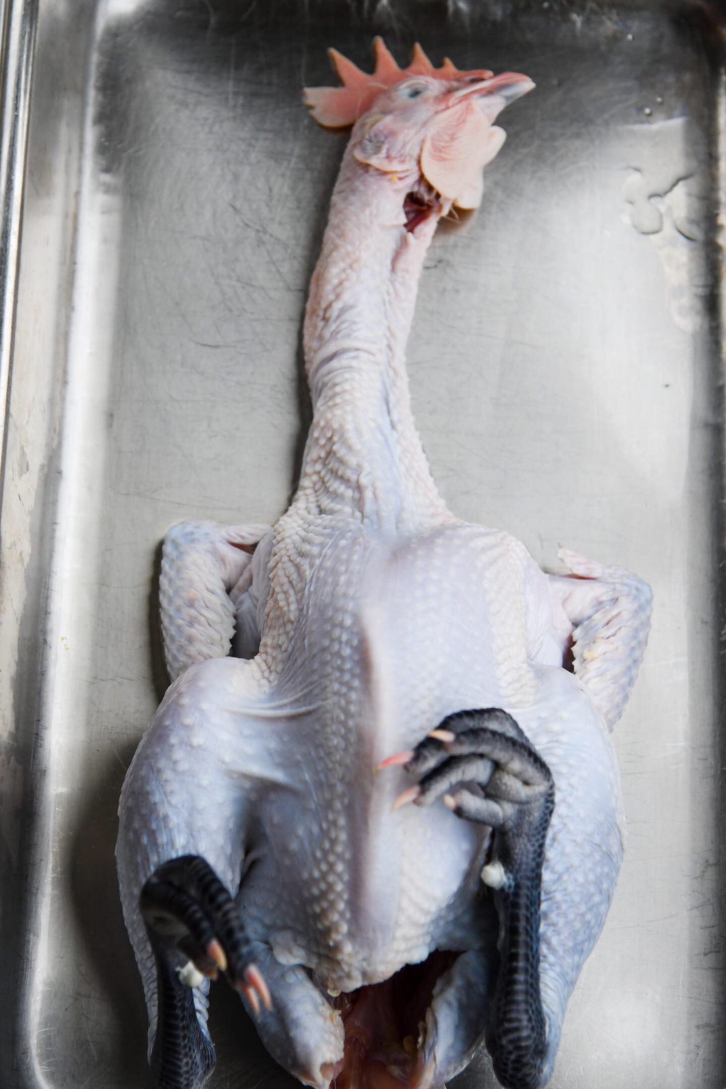 Case of 6 Poulet Bleu - FROZEN, 3.0# ave.